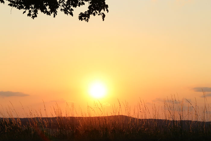 Zachód Słońca nasze DNA lubi ogrzewać się i energetyzować w jego Świetle na Słońce wschodzące i zachodzące można patrzeć bezpośrednio (po konsultacji z okulistą) bo atmosfera pochłania dużą część promieniowania UV jak co rok, w lecie, na wzgórzu koło miejscowości Stonařov okres Jihlava kraj Jihomoravska Vysočina 15 sierpnia 2018 roku, około 20:00, może 19:30? fot. Marian Nosal